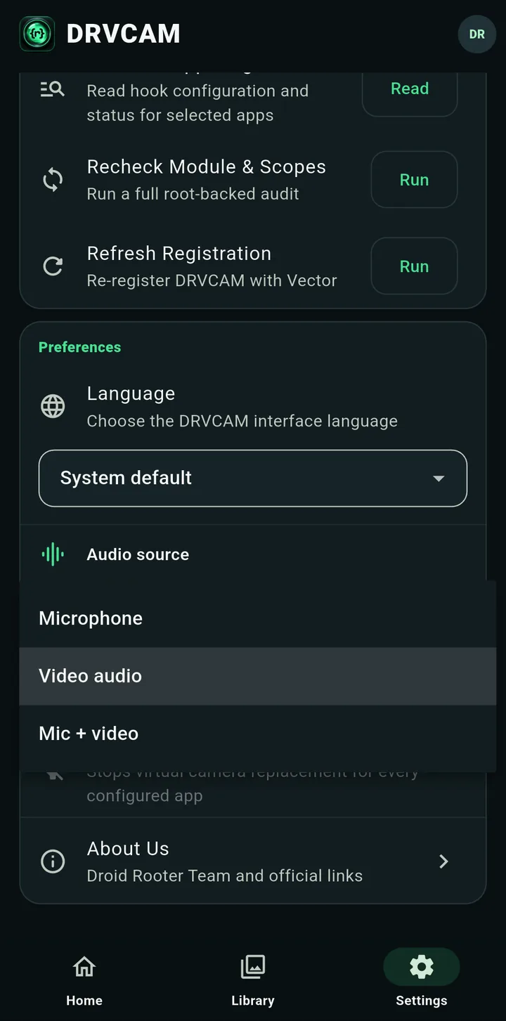 The Audio source menu with Microphone, Video audio and Mic plus video