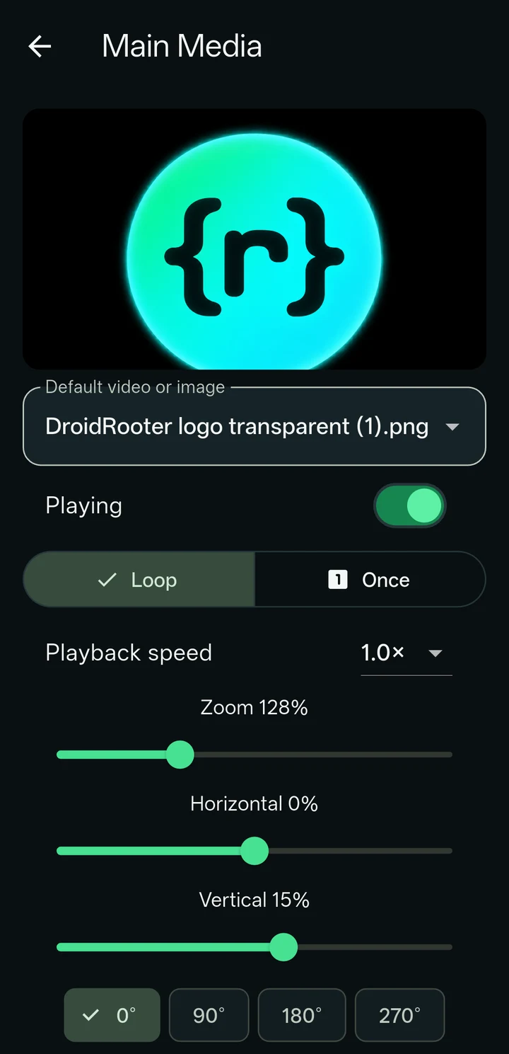 The DRVCAM Main Media editor with playback, loop, speed, zoom, horizontal and vertical controls